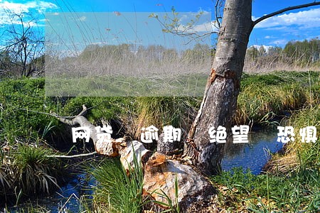 网贷 逾期 绝望 恐惧 网贷 逾期 绝望 恐惧